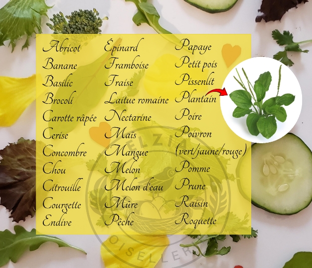 Nutrition
